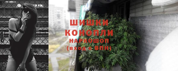 сатива Магас