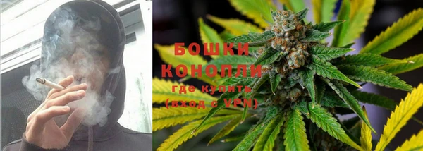 прущие крисы Магадан