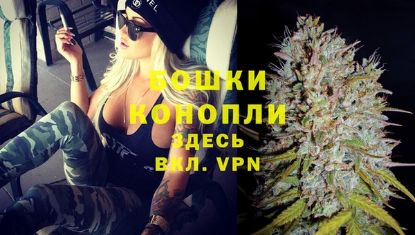 сатива Магас