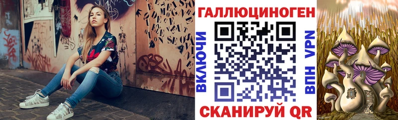 Псилоцибиновые грибы Psilocybe  кракен зеркало  Новая Усмань 